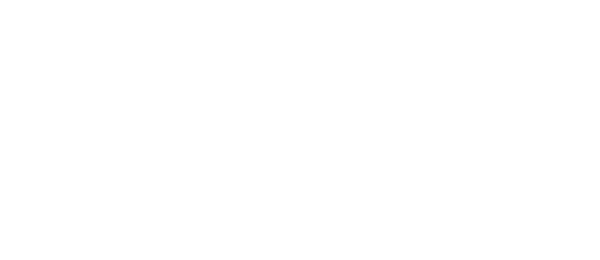Nakagawa Electronics Limited - Logo